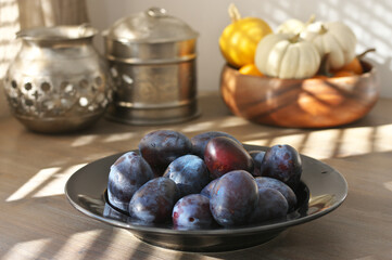 Fresh blue plums in black plate and mini pumpkins