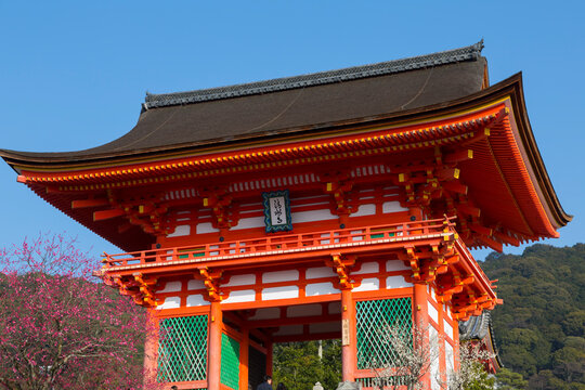 「清水寺仁王門」の写真素材 | 842件の無料イラスト画像 | Adobe Stock