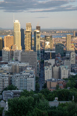 Fototapeta na wymiar Montreal view from Plateau Mont Royal 