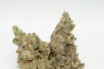 Hydroponically Grown Dried Medical Cannabis