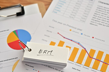 The words "ERM" written in a word book with dummy graphs. Close-up. It is an acronym for "Enterprise Risk Management".