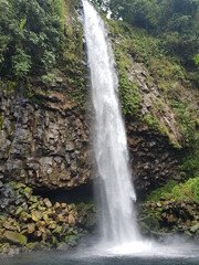 Obraz premium waterfall in the forest