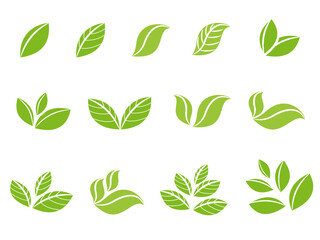 set of green leaves icons, Set of botanical with green leaves on white background, vector illustration leaf for design or decorative invitation wedding card or backdrop and wallpaper 