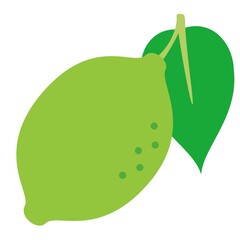 Single fresh lime with leaf, vector illustration on white background