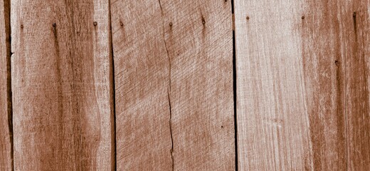 old wood background Abstract background, strange pattern, texture, color, texture of wood.