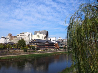 Fototapeta na wymiar Beautiful Kamo River, Kyoto, Japan