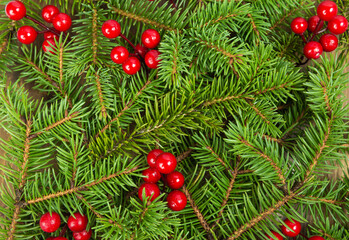 natural background of fir twigs. Festive background, banner with natural materials