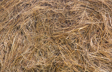 The texture of the collected straw.