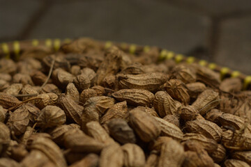 Peanut food background. Peanut shell texture