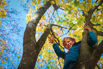 happy boy climbing tree in fall, seasonal fun for kids