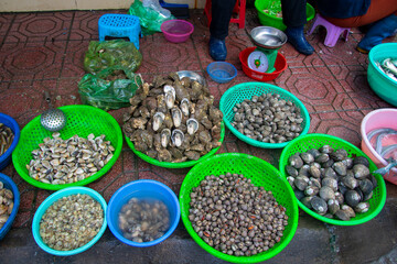 covid19 wet market china Vietnam Asia live animals 