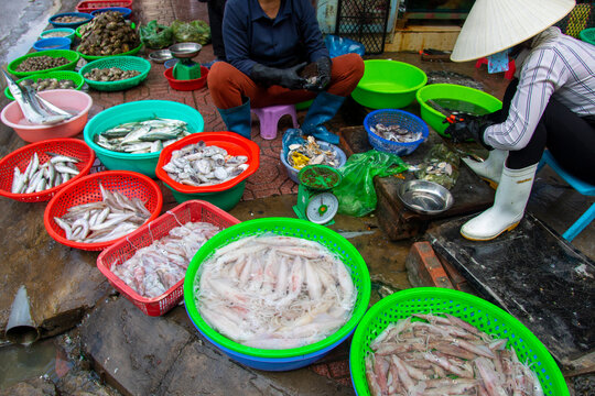 covid19 wet market china Vietnam Asia live animals 