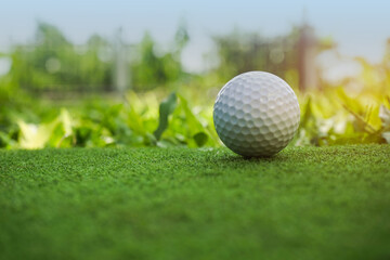 Golf ball on the green with warm tone and sunset. Golf ball on Green field golf course in morning time with soft sunlight