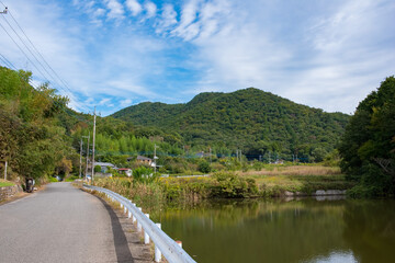 view of a village with a lake