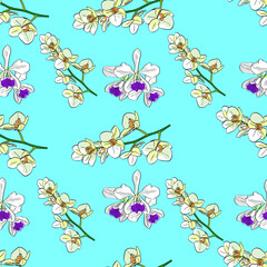 background with orchid exotic flowers