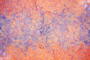 Abstract background autumn leaves yellow vintage old