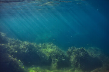 coral reef underwater landscape, lagoon in the warm sea, view under water ecosystem