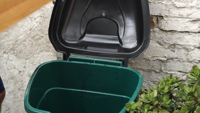 Food Waste at Retail. Grocery store worker throw spoiled unsold uneaten rotten grapes into dumpster
