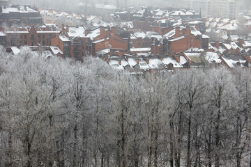 Snowy winter in a big European city and forest