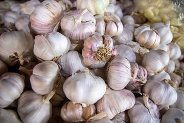 people working Vietnam, food, fishing, market