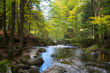 Saut des Xuves bei Xonrupt Longemer in den Vogesen
