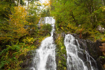 Fototapeta na wymiar cascades de Tenon in den Vogesen