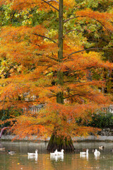 the parks are painted with the colors of autumn