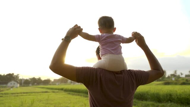 father carry children on his shoulder at sunset in meadow