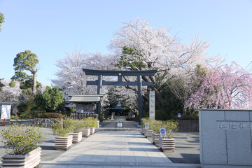 松陰神社