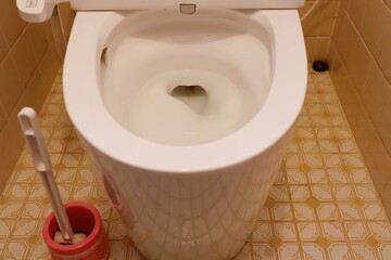 トイレの便器と掃除用ブラシ