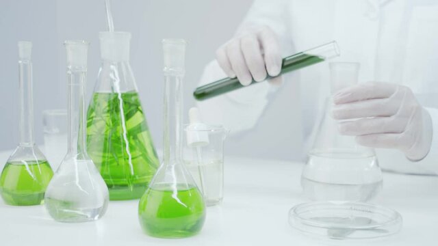 Laboratory technician mixes the green reagent with liquid in flasks. Research of medicinal properties of plants. Natural cosmetics production. Obtaining natural extract. Flasks with plants and algae.