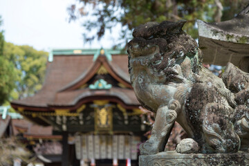 北野天満宮の狛犬と三光門