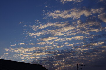 夕暮れ時のうろこ雲
