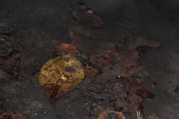 .Falling time in the Russian Federation. Puddles, mud, slush, beautiful.