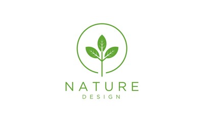 Simple logo of natural vector templates