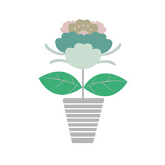 Beautiful picture of home plant