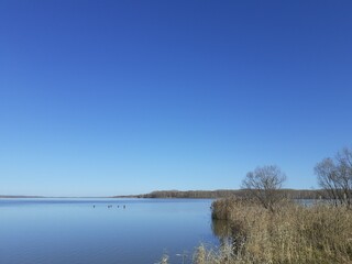 Autumn water landscape with reeds, lake and blue sky.