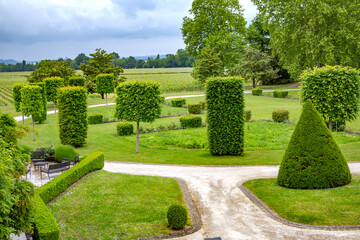 Diversely trimmed thuja on a green meadow in the park