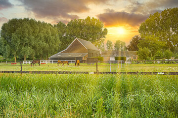 Sunset over agricultural landscape with farm and horses in a horse box in backlight with background of warm diffused orange light with sun rays from setting sun