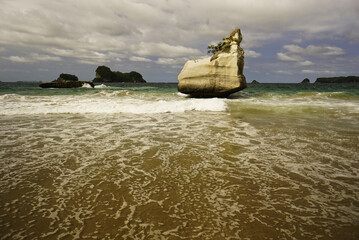Cathedral cove is unique limestone in Coromandel peninsula in New Zealand