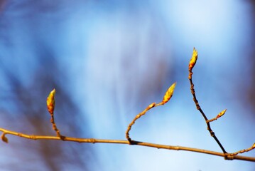 wire fence © Rafaello