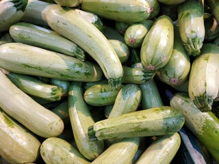 Fresh cropped green Zucchini; Offer in the vegetable market; Summer squash