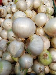 Lots of onions, close-up, background. White onion texture background.