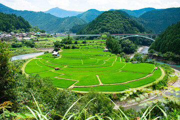 夏のあらぎ島