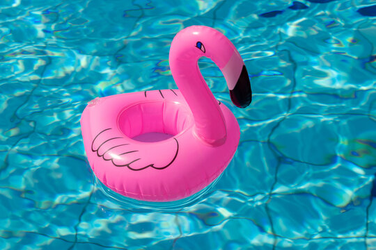 Beach flamingo. Pink inflatable flamingo in pool water for summer beach background. Trendy summer concept.