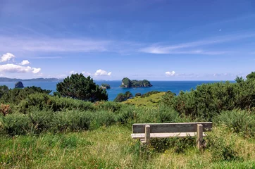 Plexiglas foto achterwand Coastline of Coromandel Peninsula with wooden bench in New Zealand © amelie