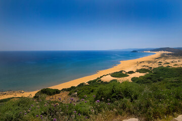 Fototapeta na wymiar Golden Beach Karpasia Peninsula - North Cyprus higher wide angle view blue sea, golden sand and green plants on the dunes in summer