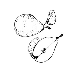 Vector illustration of a pear on a white isolated background. Shop sketch, banner, menu, and logo. Black and white outline.EPS 10