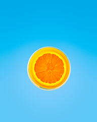 orange on blue background