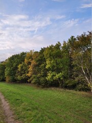 Fototapeta premium one beautiful day outside in hometown